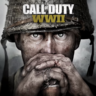 Все регионы   Call of Duty®: WWII (2017) STEAM