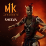 Sheeva PS4 PS5 ПСН PLAYSTATION