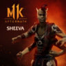 Sheeva PS4 ПСН PLAYSTATION