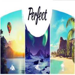 Perfect VR (Steam ключ / РФ Весь мир)