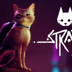 STRAY   МЕГАБОНУС ИГРЫ