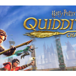 Harry Potter: Quidditch Champions steam  Россия\мир