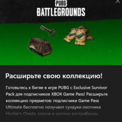 PUBG - 2024 Exclusive Survivor Pack #3