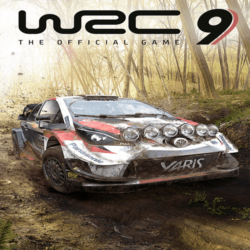 🔵WRC 9 FIA World Rally Championship | PS4/PS5 Турция Украина