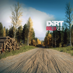DiRT Rally 2.0 - Finland (Rally Location) PS4 ПСН