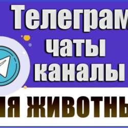 4600 Телеграм каналов и чатов "Всё для животных" 2026 г