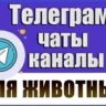 4600 Телеграм каналов и чатов "Всё для животных" 2026 г