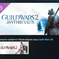 Guild Wars 2® Janthir Wilds™ Expansion DLC АВТОДОСТАВКА STEAM РОССИЯ