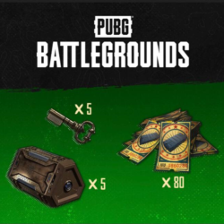 PUBG   Эксклюзивный набор Выжившего № 3 КЛЮЧ XBOX