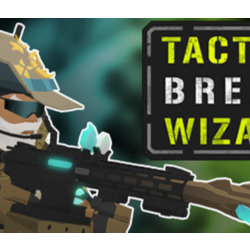 Tactical Breach Wizards: Special Edition * STEAM RU ⚡