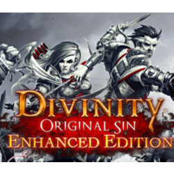 Divinity: Original Sin - Enhanced Edition Россия   Снг