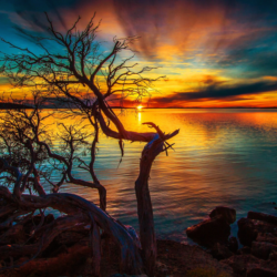 Красивые HD обои ПРИРОДА - 46 штук