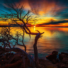 Красивые HD обои ПРИРОДА - 46 штук