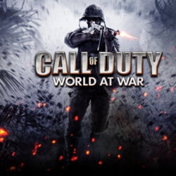 Call of Duty: World at War   Игры | Steam | Гарантия