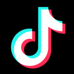 TikTok Followers