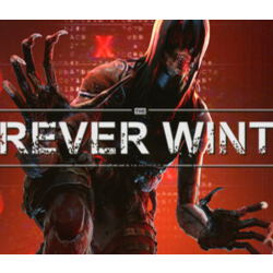 The Forever Winter * STEAM RU ⚡ АВТО 💳0%
