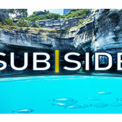 Subside VR - STEAM GIFT РОССИЯ