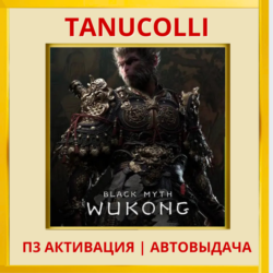 ☀️ Black Myth: Wukong (PS/PS5/RU) П3 - Активация