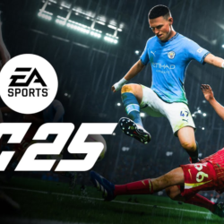 FC 25 STANDART/ULTIMATE  STEAM   PS   XBOX  БЫСТРО