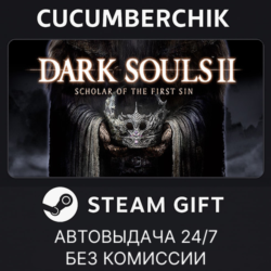 DARK SOULS™ II: Bundle (DX9) STEAM GIFT AUTO RU МИР