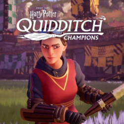 Harry Potter: Quidditch Champ(Xbox) Игры общий аккаун