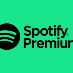 🎧 Spotify Premium | 1 месяц | Приватный доступ