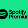 🎧 Spotify Premium | 1 месяц | Приватный доступ