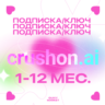 КЛЮЧ ИЛИ ПОДПИСКА ДЛЯ CRUSHON AI 1-12М.