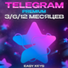 TELEGRAM PREMIUM 3/6/12 МЕС | БЕЗ ВХОДА | БЫСТРО