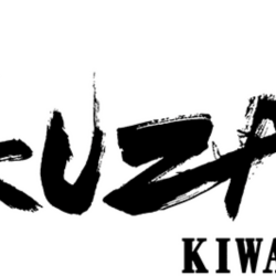 Nintendo Switch🟥Yakuza Kiwami