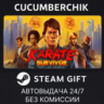 Karate Survivor STEAM GIFT AUTO RU МИР