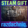 S.T.A.L.K.E.R.: Зов Припяти {Steam Gift/Россия/СНГ}
