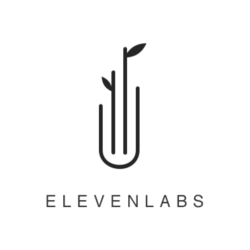 ELEVENLABS ПОДПИСКА - 1 МЕСЯЦ