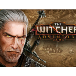 The Witcher Adventure Game STEAM GIFT Россия   Снг