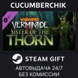 Warhammer: Vermintide 2 - Sister of the Thorn STEAM GIFT AUTO RU МИР