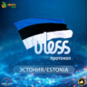 VPN Эстония    (vless / tcp · xhttp) · 1-6m · DNS DoH