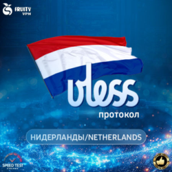 VPN Нидерланды    (vless / tcp · xhttp) · 1-6m · DNS DoH