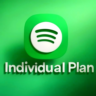 Spotify Premium Individual   1/3/6/12 МЕСЯЦА