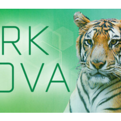 Ark Nova * STEAM РОССИЯ ⚡ АВТОДОСТАВКА 💳0% КАРТЫ