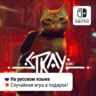 Stray | Nintendo Switch 1/2