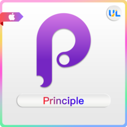 Principle 6 ключ  Principle MAC OS   Principle for mac