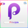 Principle 6 ключ  Principle MAC OS   Principle for mac