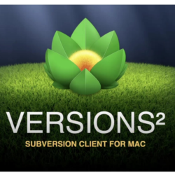 Versions 2 ключ  Versionsapp   Versions mac