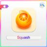 Squash 3 ключ  Squash 3 MAC OS