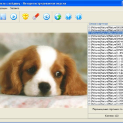 SlideShow Maker