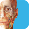 Patient Education Animations Human Anatomy Atlas MSstor