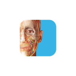 Advanced Animatios Human Anatomy Atlas  Microsoft Store