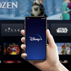 DISNEY PLUS 12 MONTHS ✅ WARRANTY ✅
