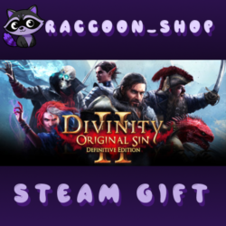 Divinity: Original Sin 2 * STEAM RU*KZ*UA*СНГ
