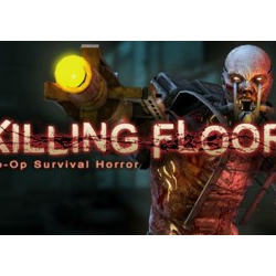 Killing Floor     (STEAM KEY/GLOBAL)